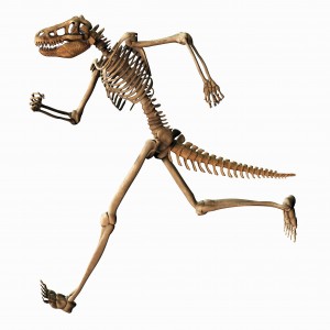 Illustration of a Chimeric Skeleton
